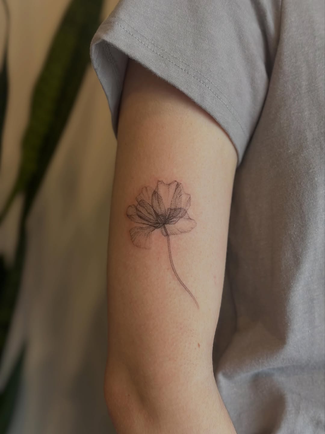 Tattoo by @scaktats โ fine_line