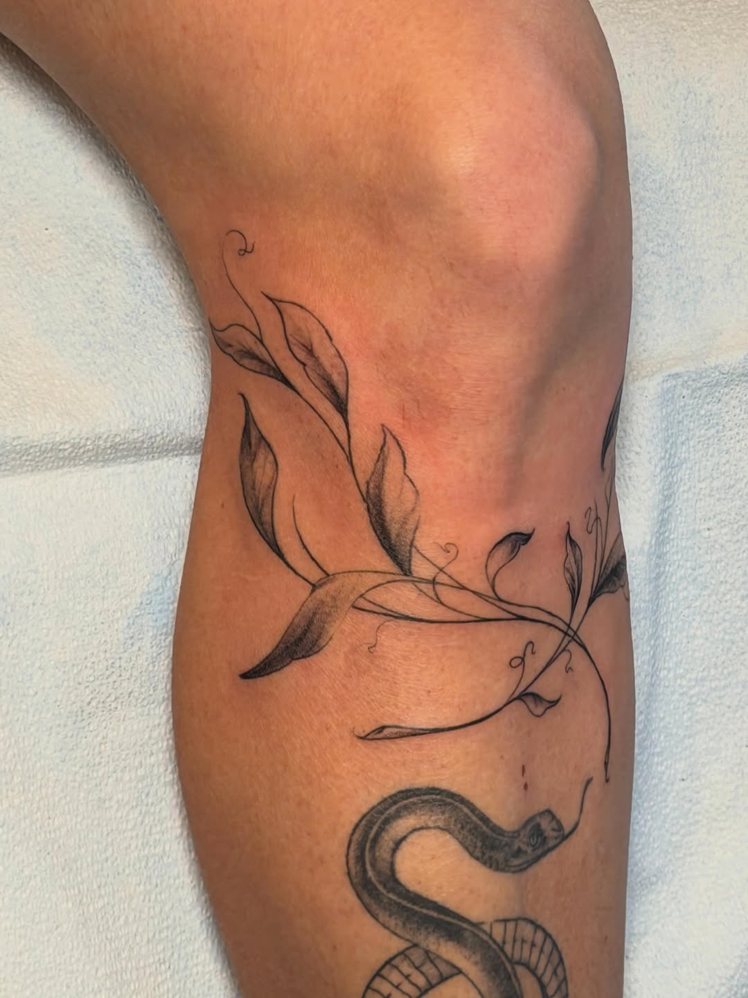 Tattoo by @artt.tattoos — fine_line
