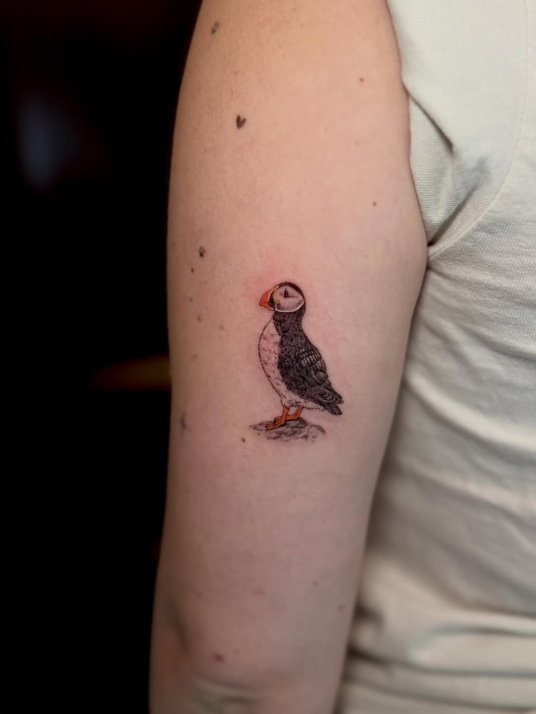 Tattoo by @anablatt_tattoo — realism