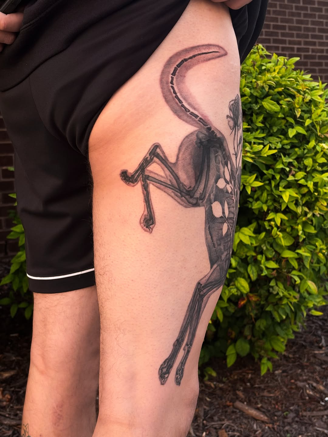 Tattoo by @songsparrowink — realism, black_and_grey