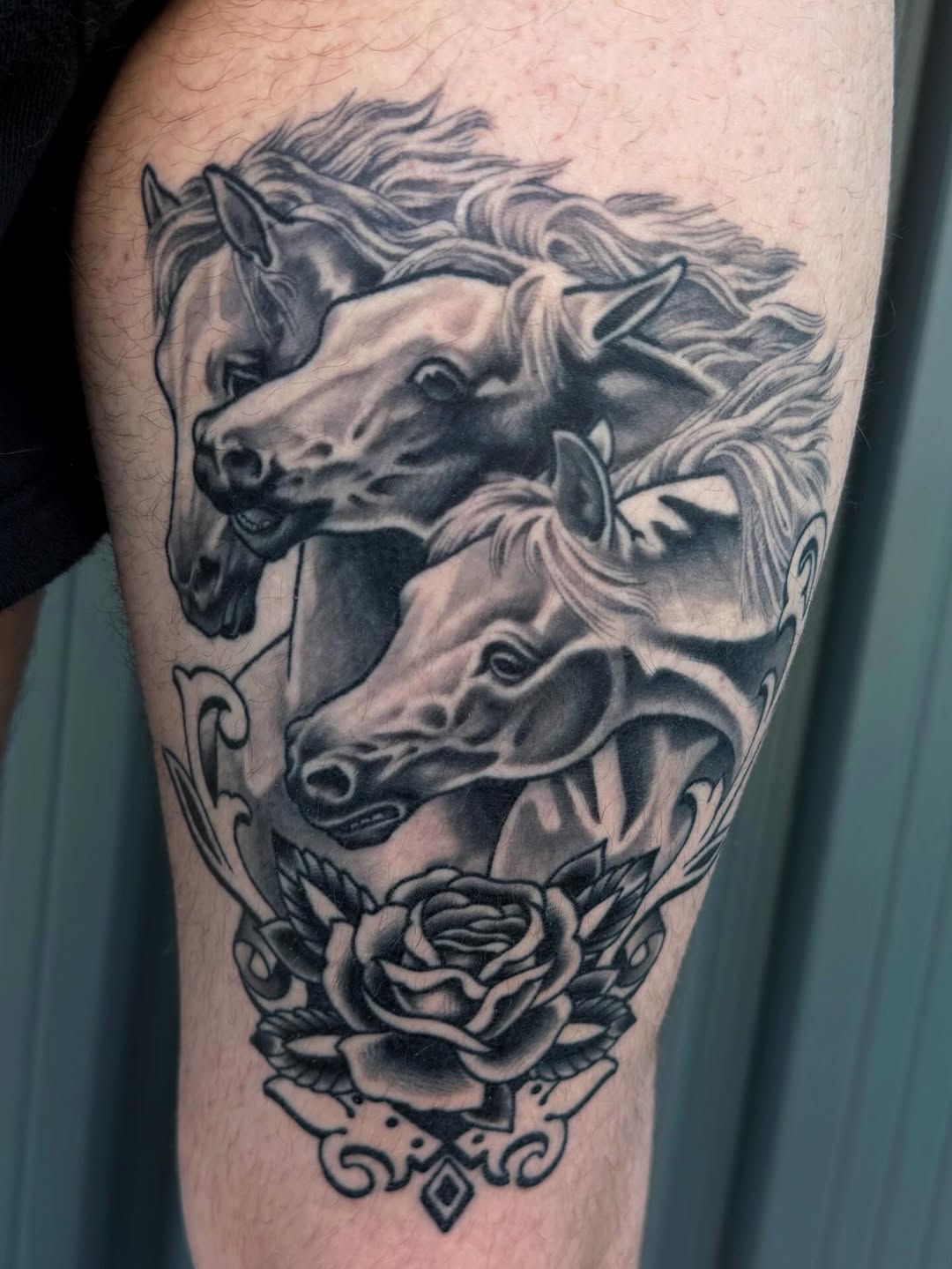 Tattoo by @mollygotlib — black_and_grey, realism
