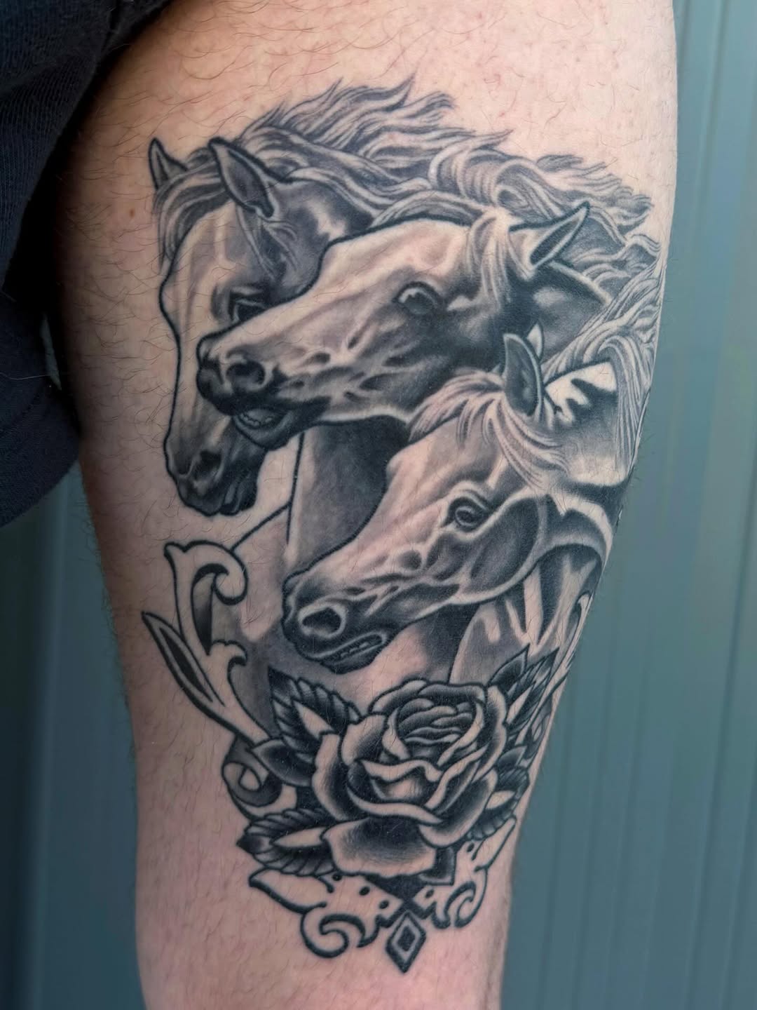 Tattoo by @mollygotlib — realism, black_and_grey