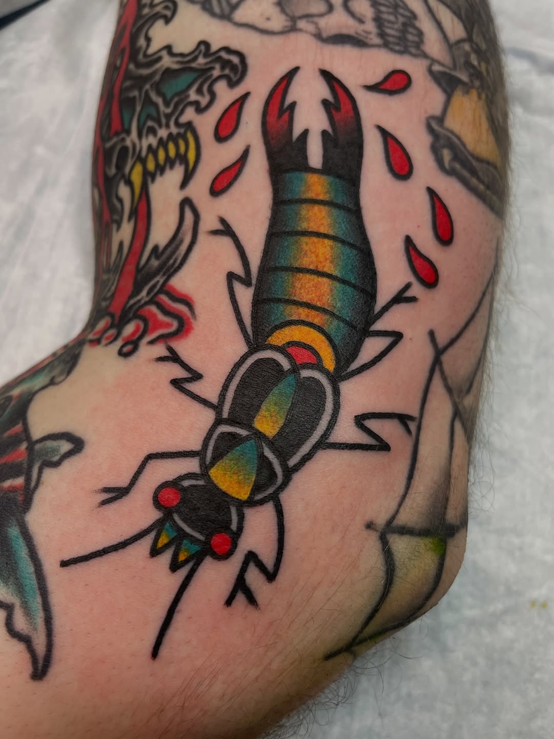 Tattoo by @tomtaylortattoo — american_traditional