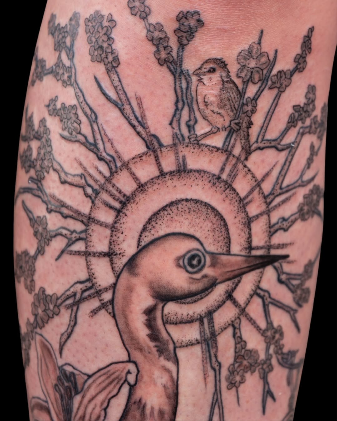 Tattoo by @trkaltreider — black_and_grey, dotwork