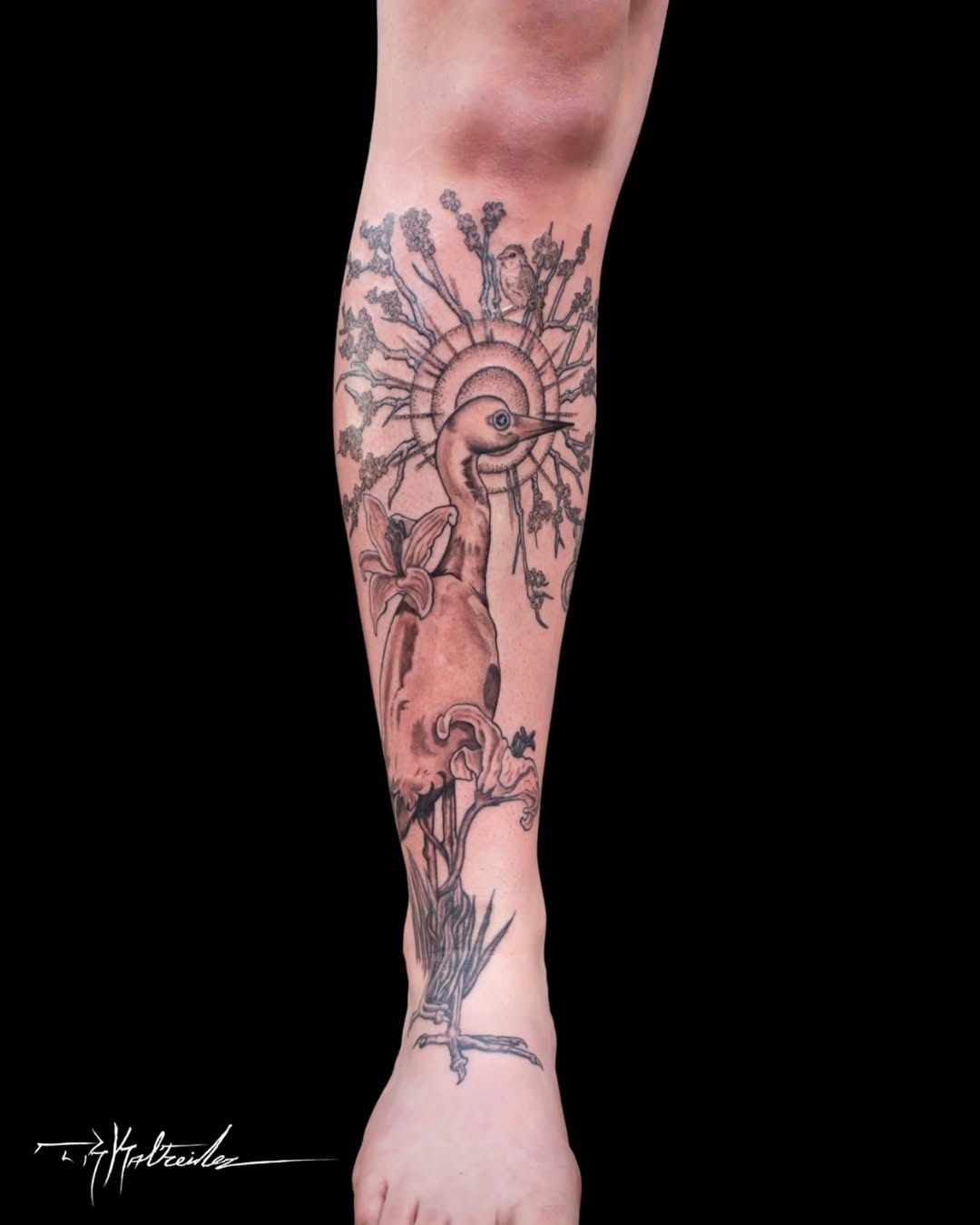 Tattoo by @trkaltreider — black_and_grey, realism