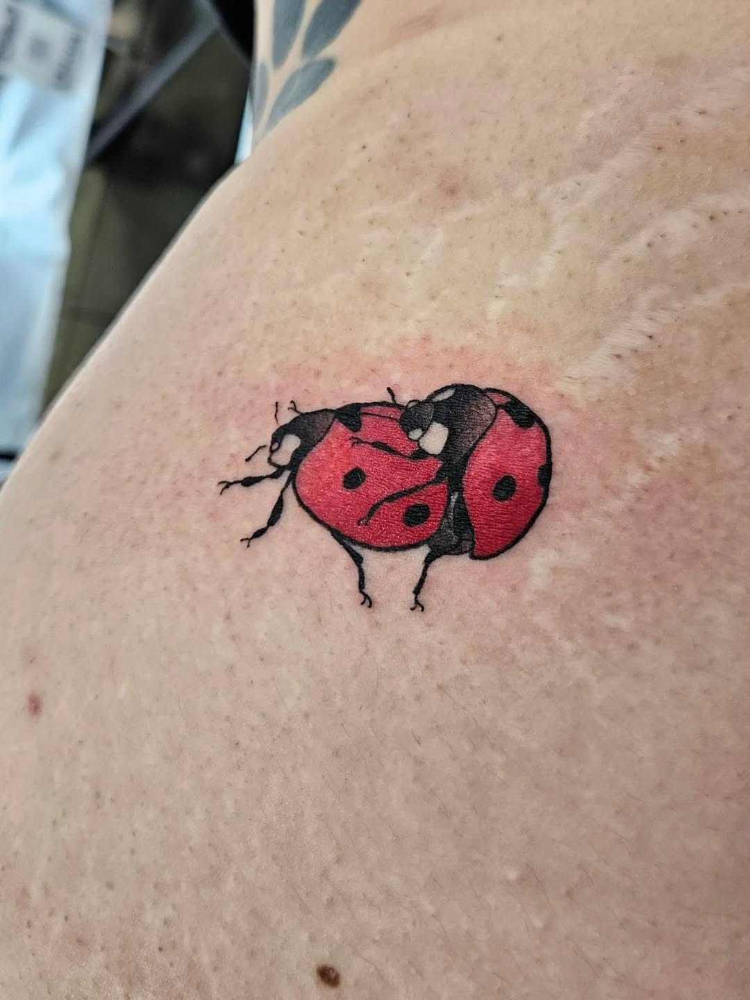 Tattoo by @neonmoonink — american_traditional