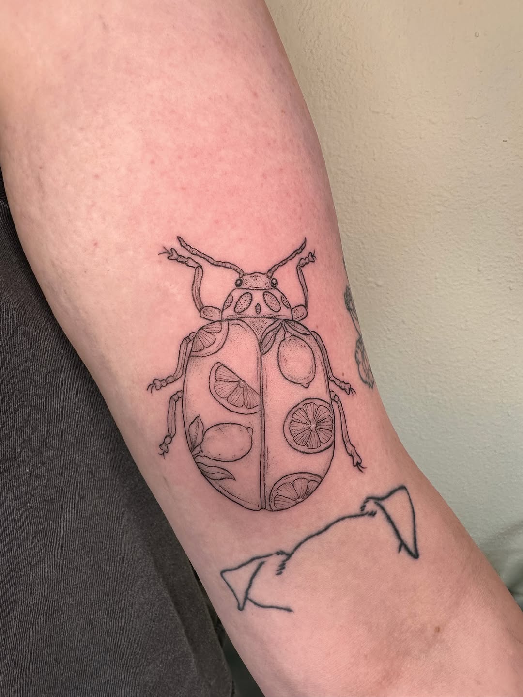 Tattoo by @folkandfernink โ fine_line