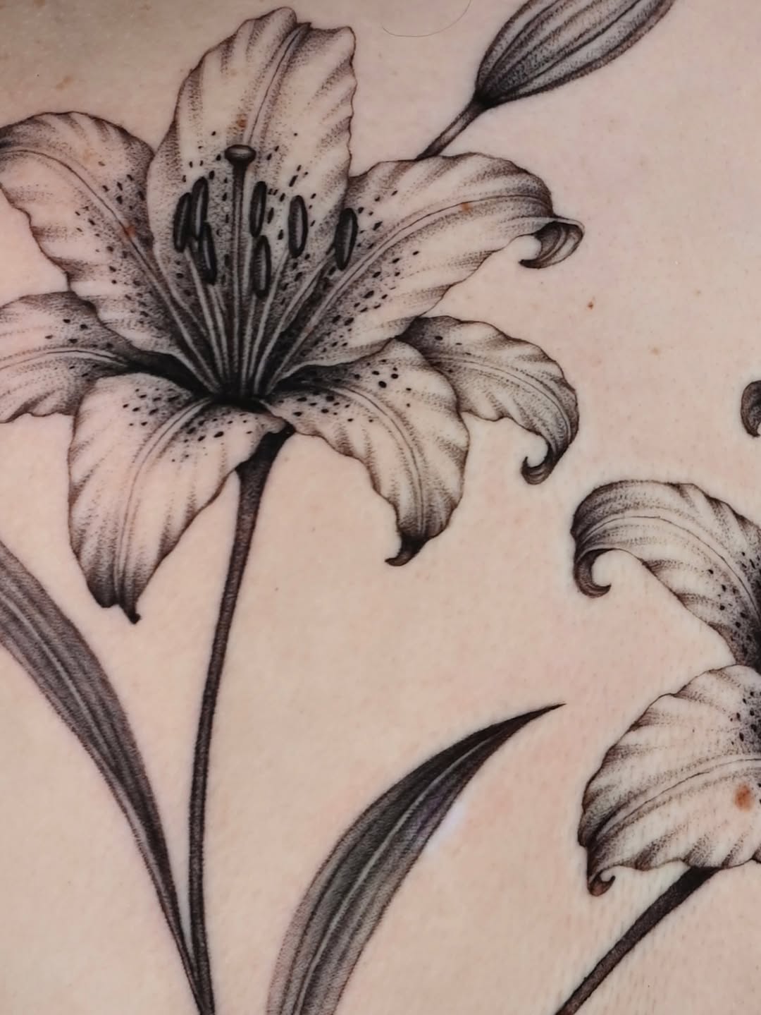 Tattoo by @hibakhantattoos — black_and_grey, realism
