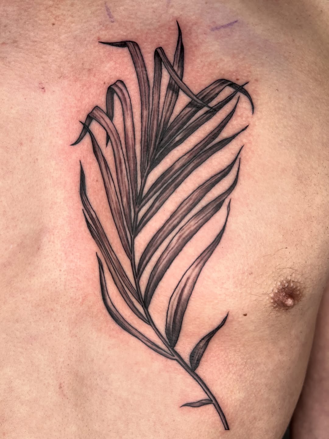 Tattoo by @kaiatattoos — fine_line, black_and_grey