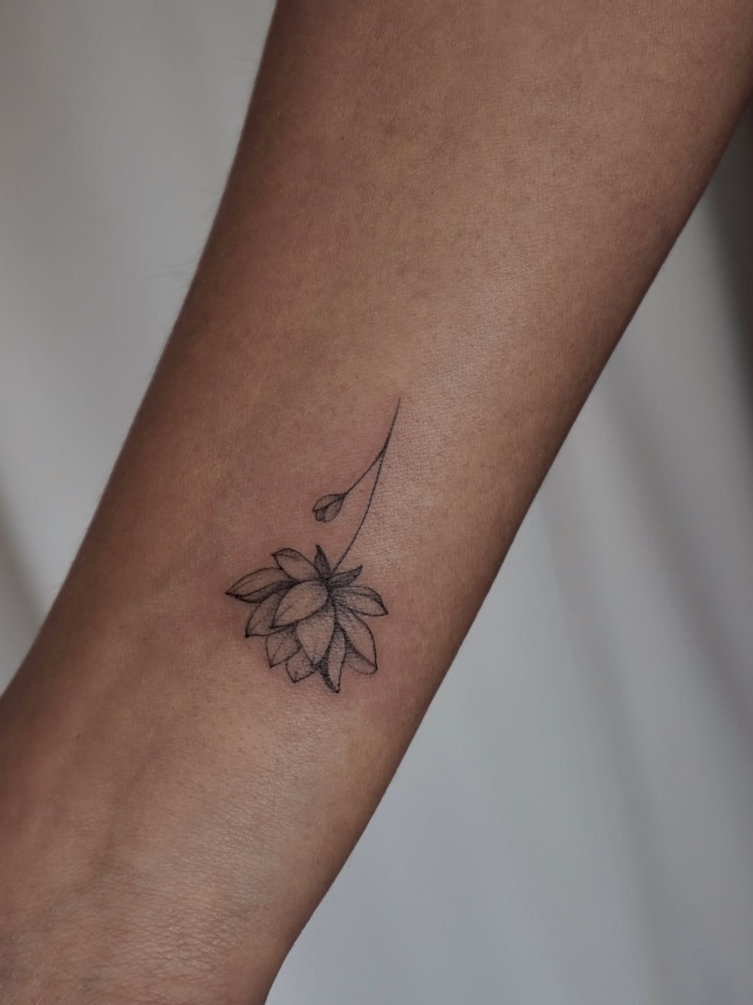 Tattoo by @ayalas._.ink — fine_line, illustrative