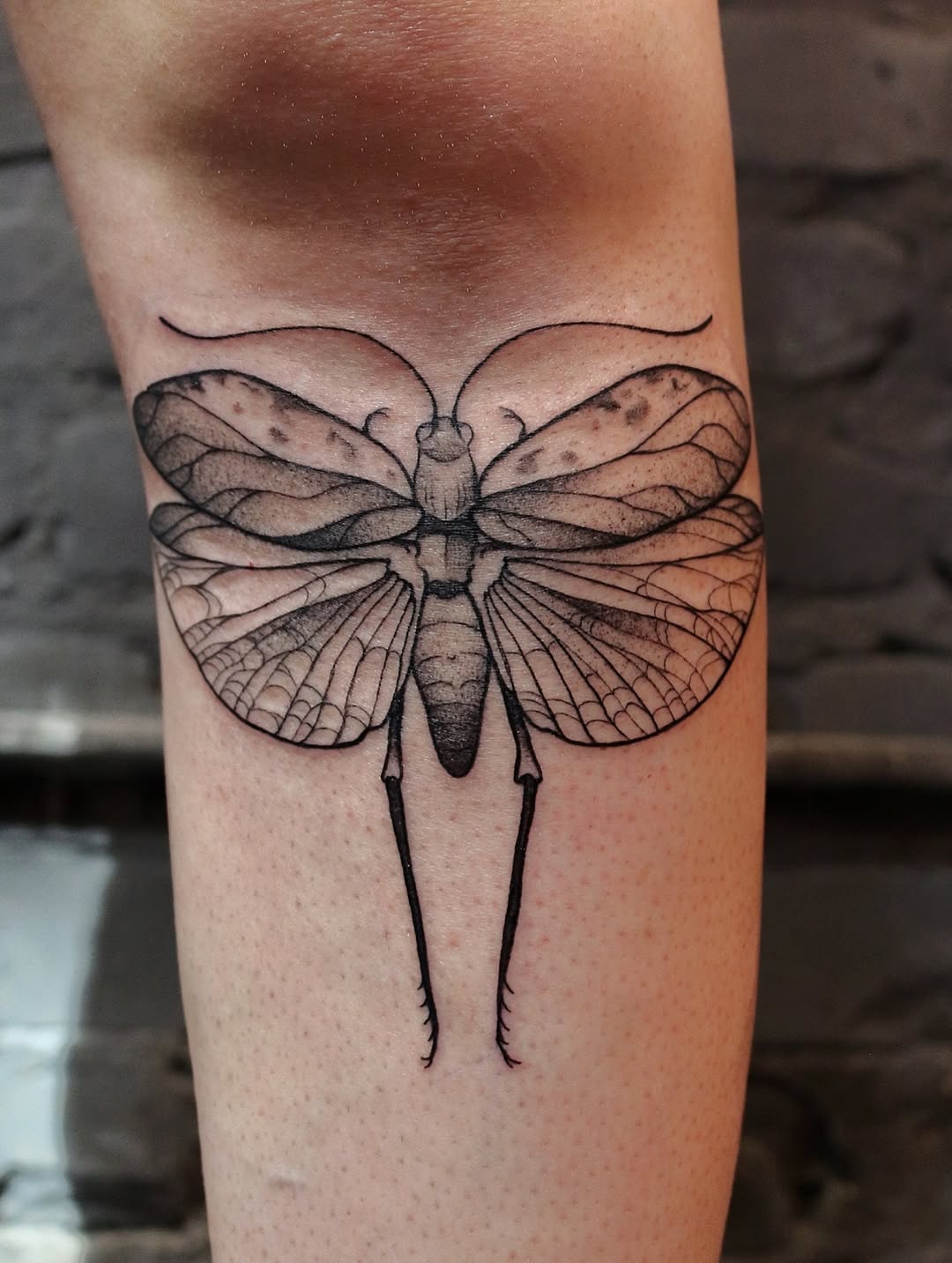 Tattoo by @summerbee_tattoo — black_and_grey, realism