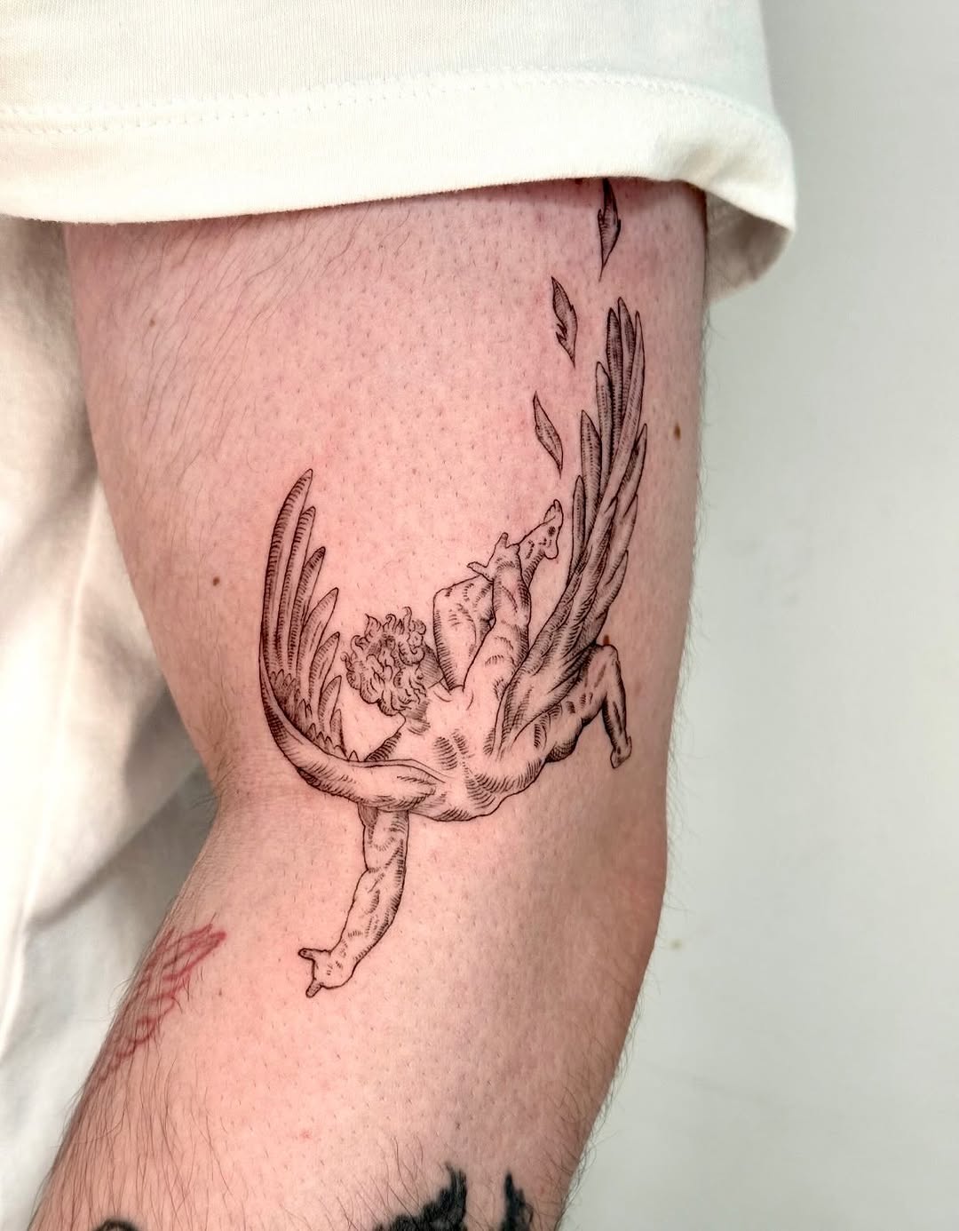 Tattoo by @sabrina_tattoos_ — fine_line, illustrative