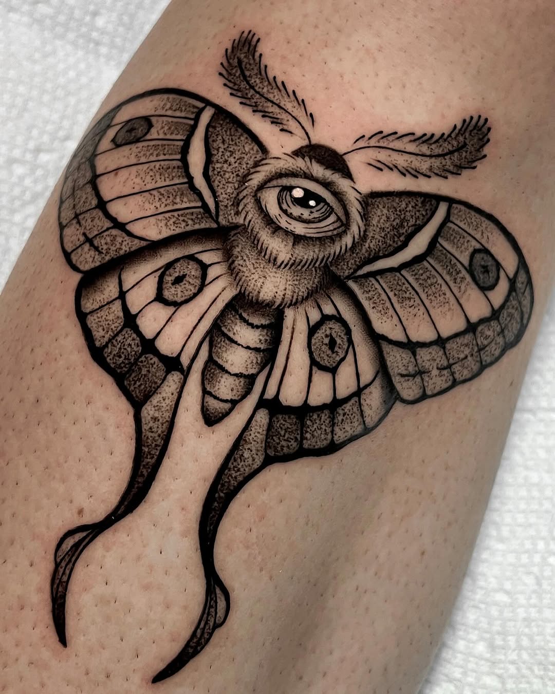 Tattoo by @andrewg.ttt โ blackwork, illustrative