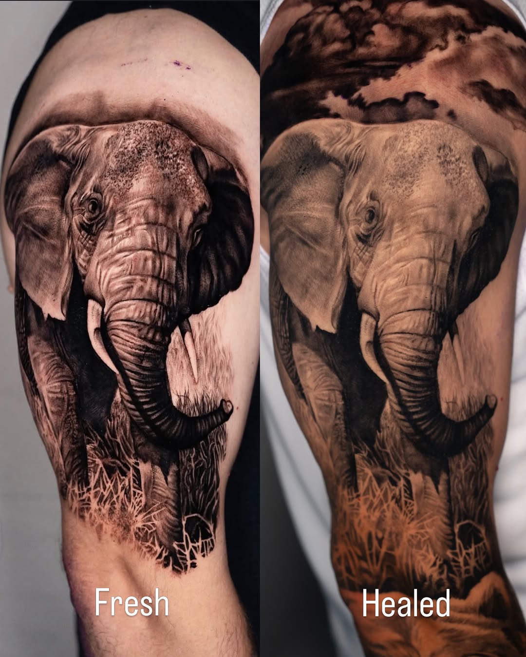 Tattoo by @gionastarace_tattoo โ realism, black_and_grey