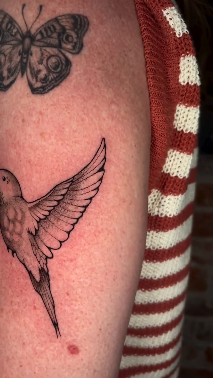 Tattoo by @tattooemmy — fine_line, illustrative