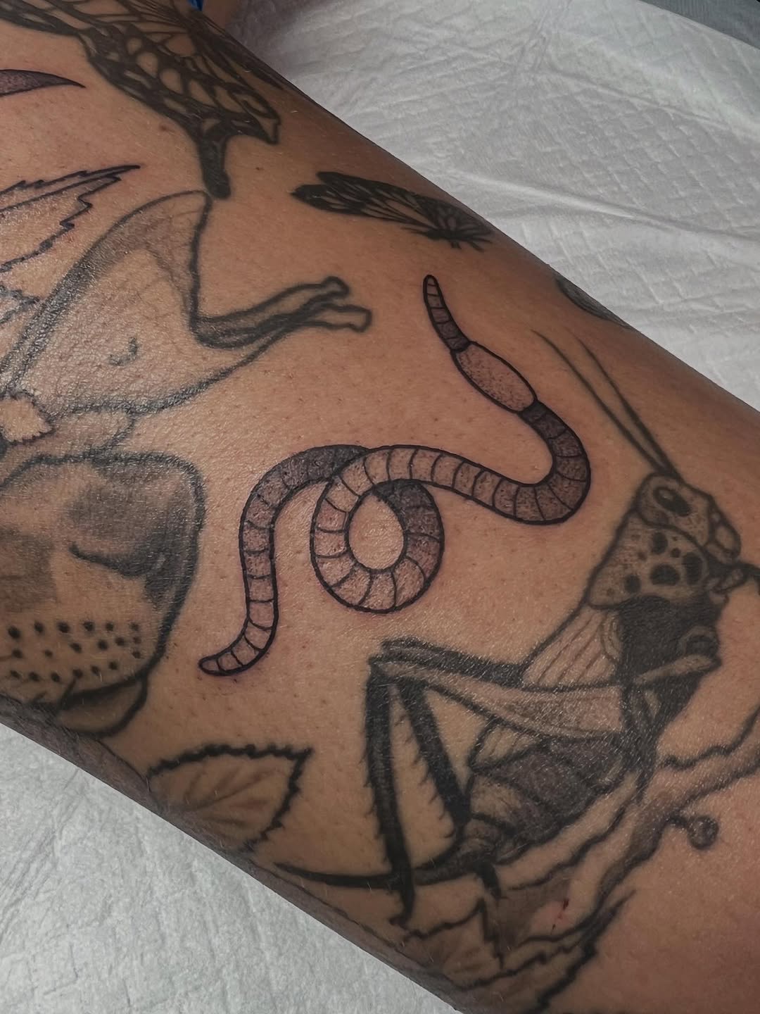 Tattoo by @alyssadragetattoo — illustrative, black_and_grey