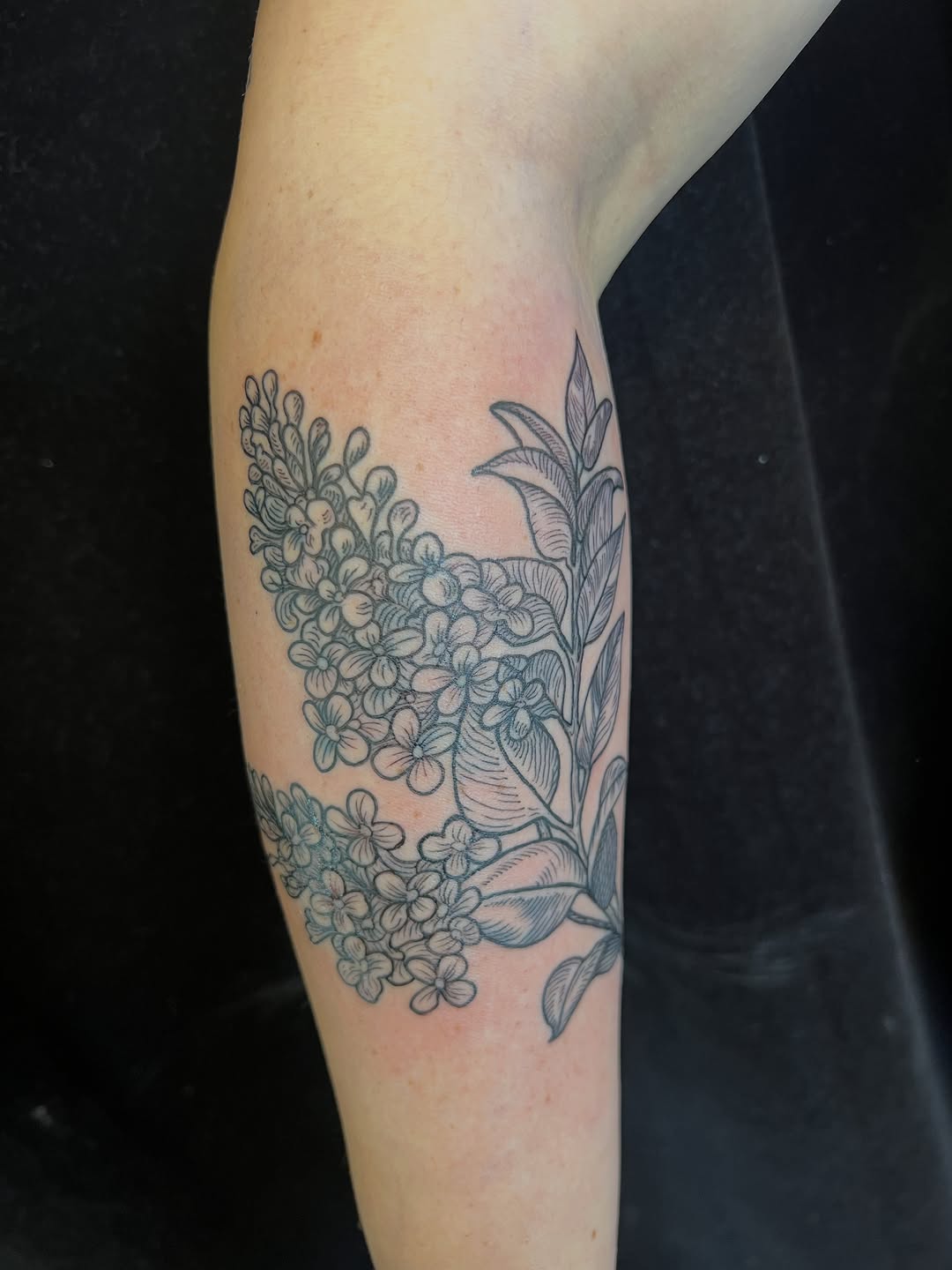 Tattoo by @honestbird — fine_line