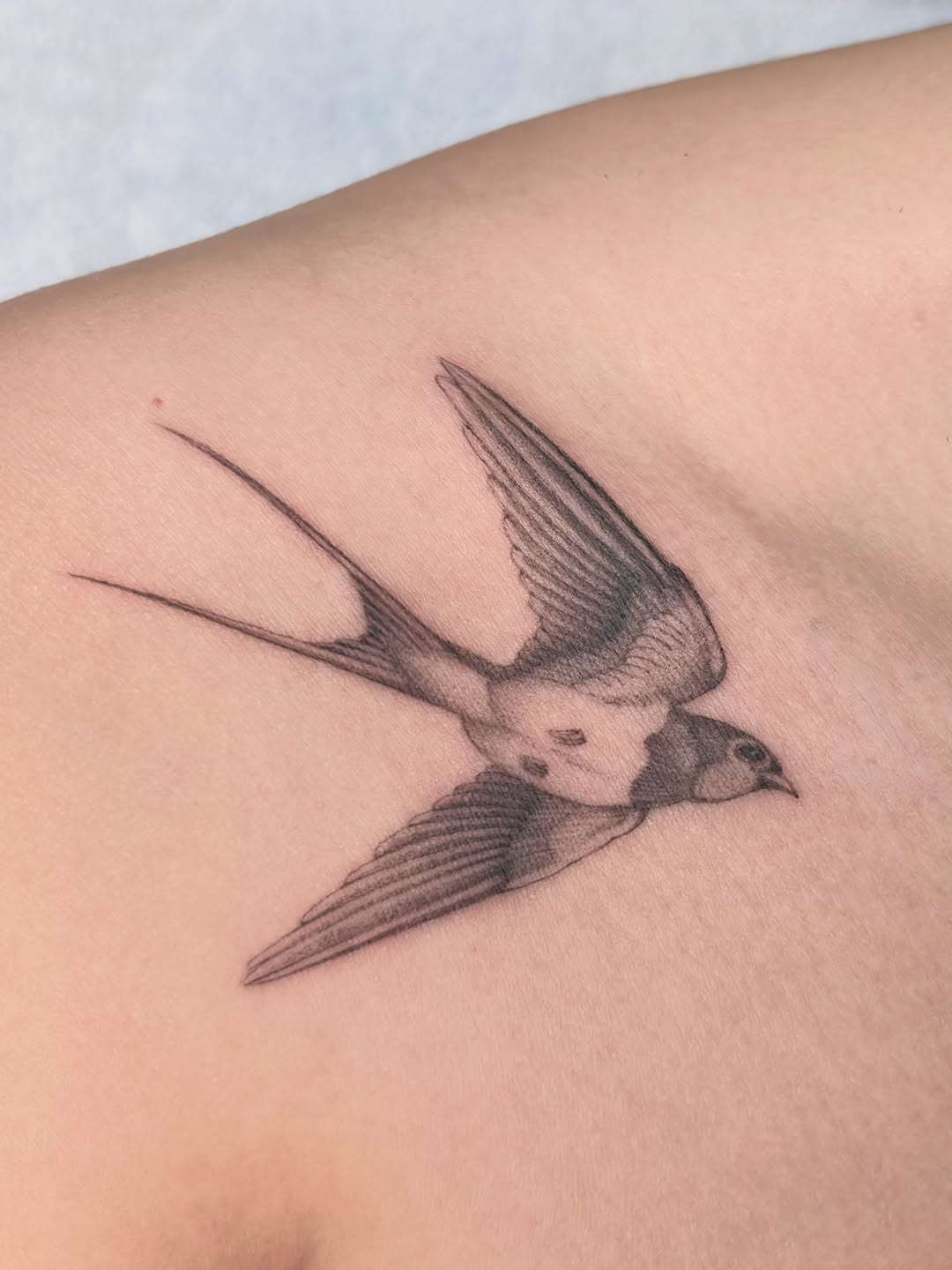 Tattoo by @jakehodsontattoo — fine_line, black_and_grey