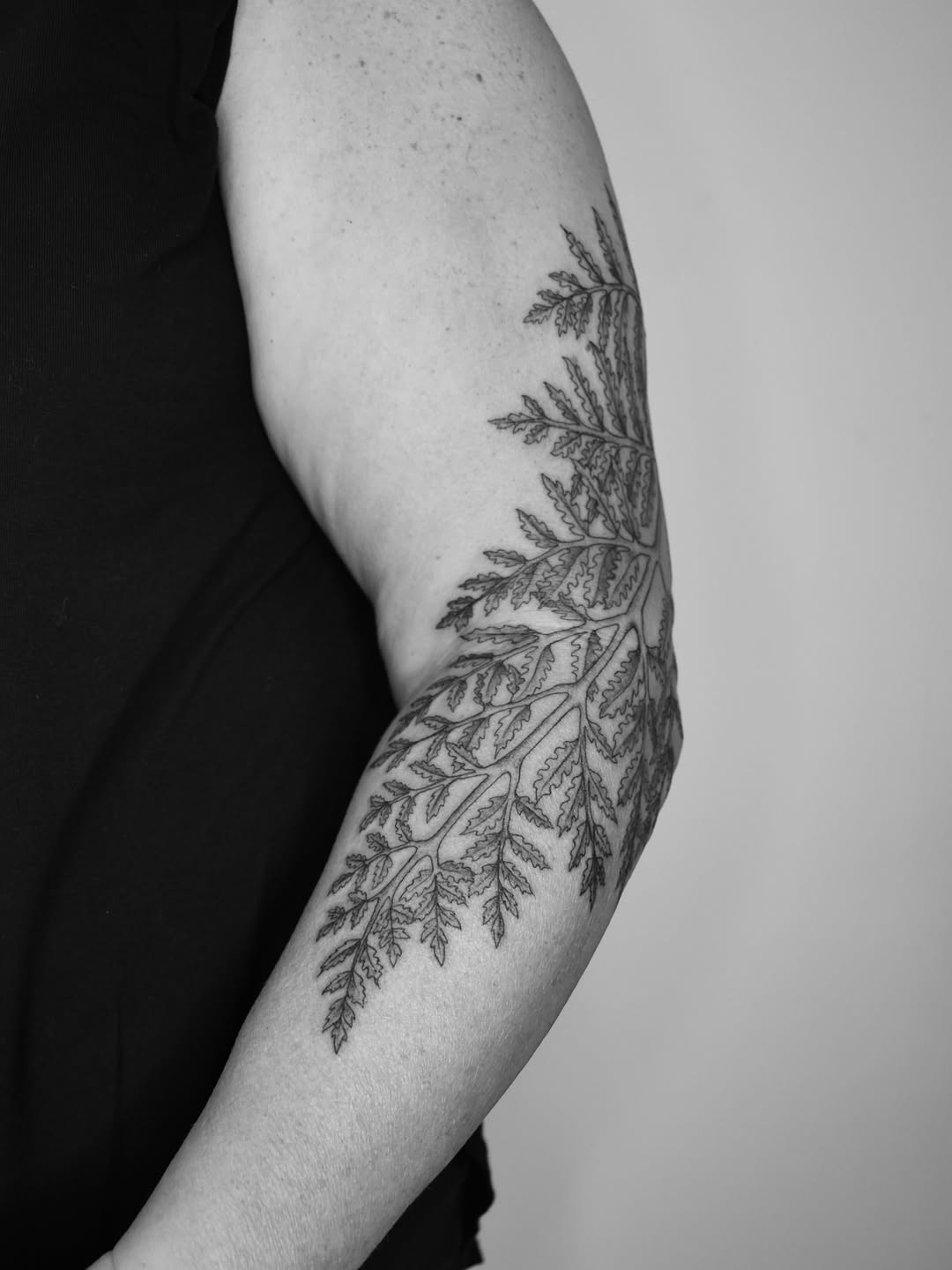 Tattoo by @serahsubmarine — illustrative, fine_line