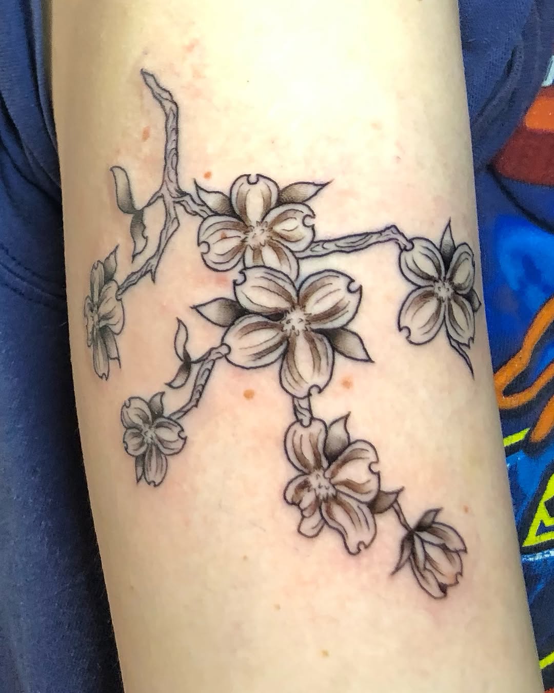 Tattoo by @aidabtattoo — black_and_grey, fine_line