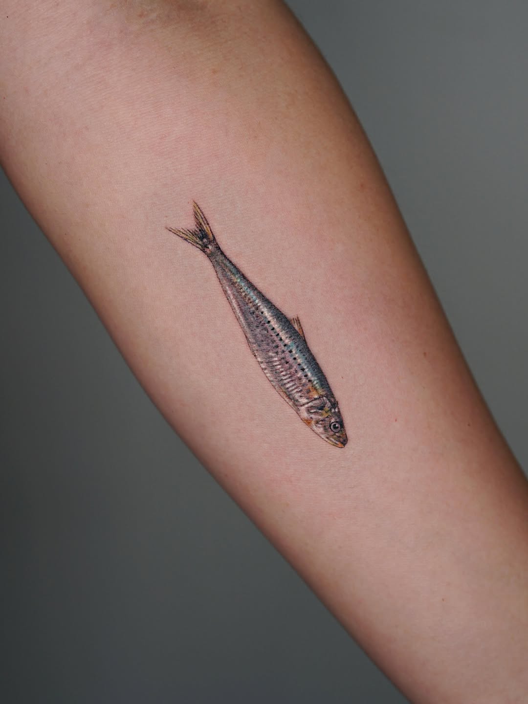 Tattoo by @alissajungink — realism