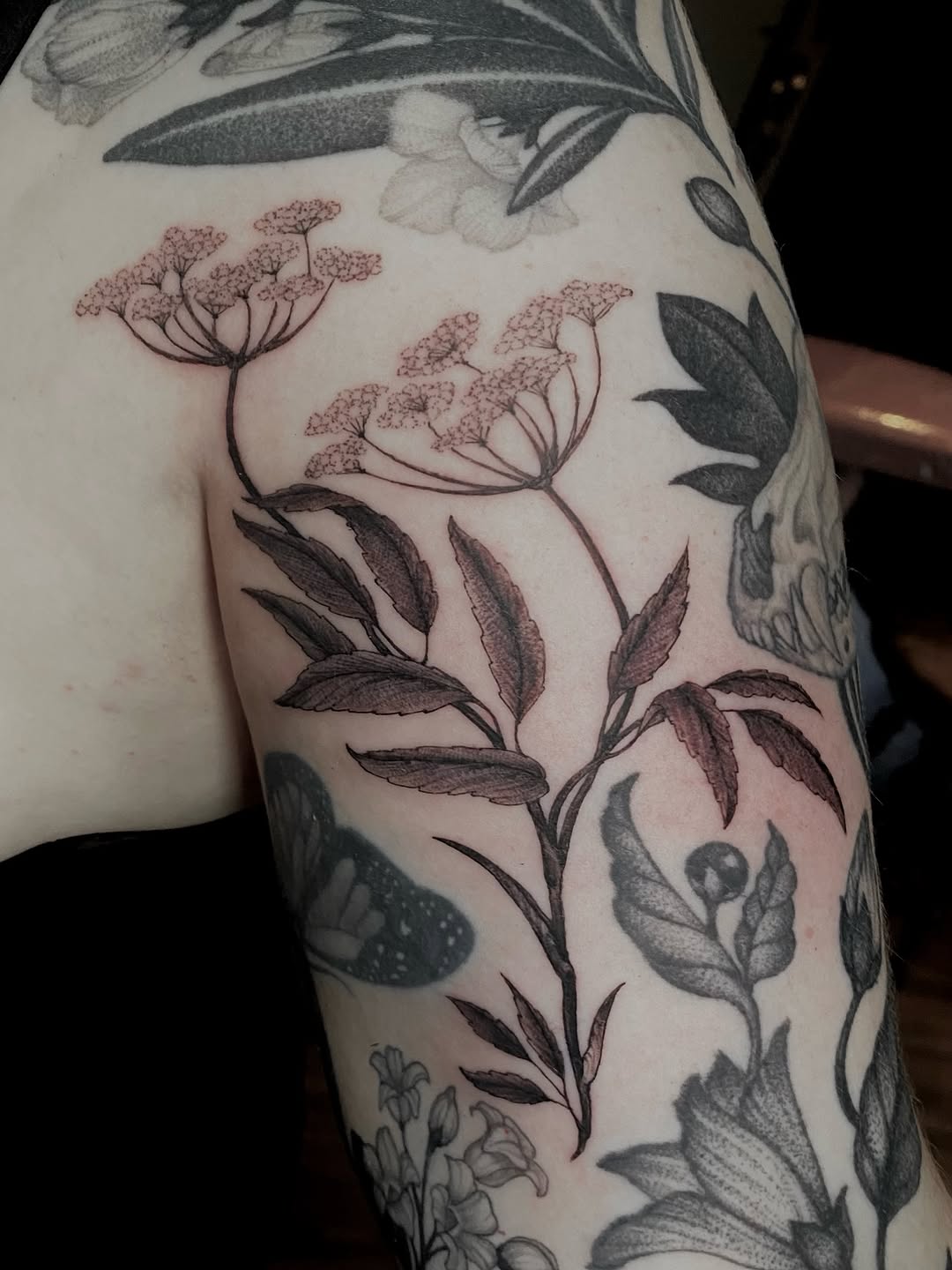 Tattoo by @meluusiine — fine_line, black_and_grey