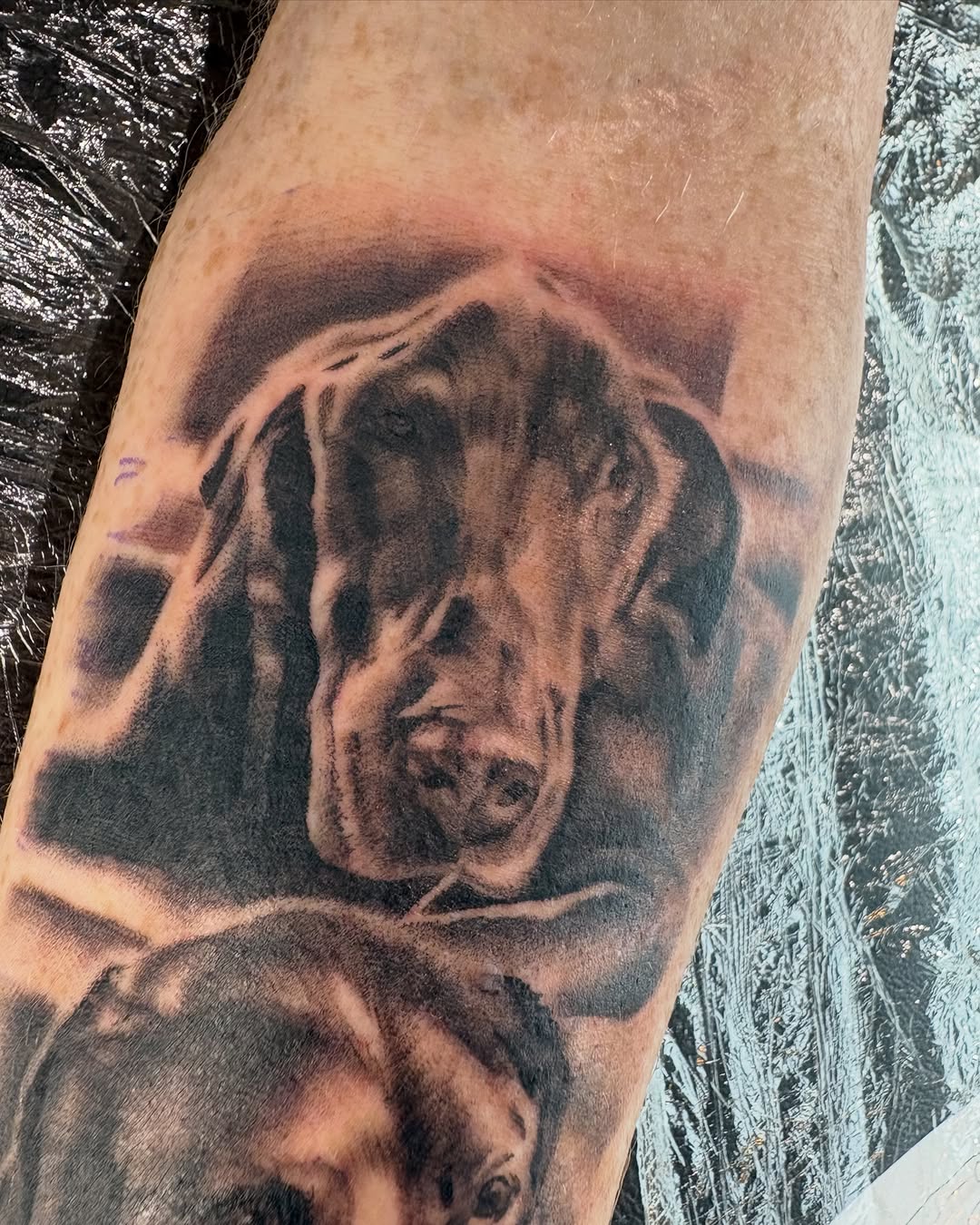 Tattoo by @fortunate_flesh — realism, black_and_grey
