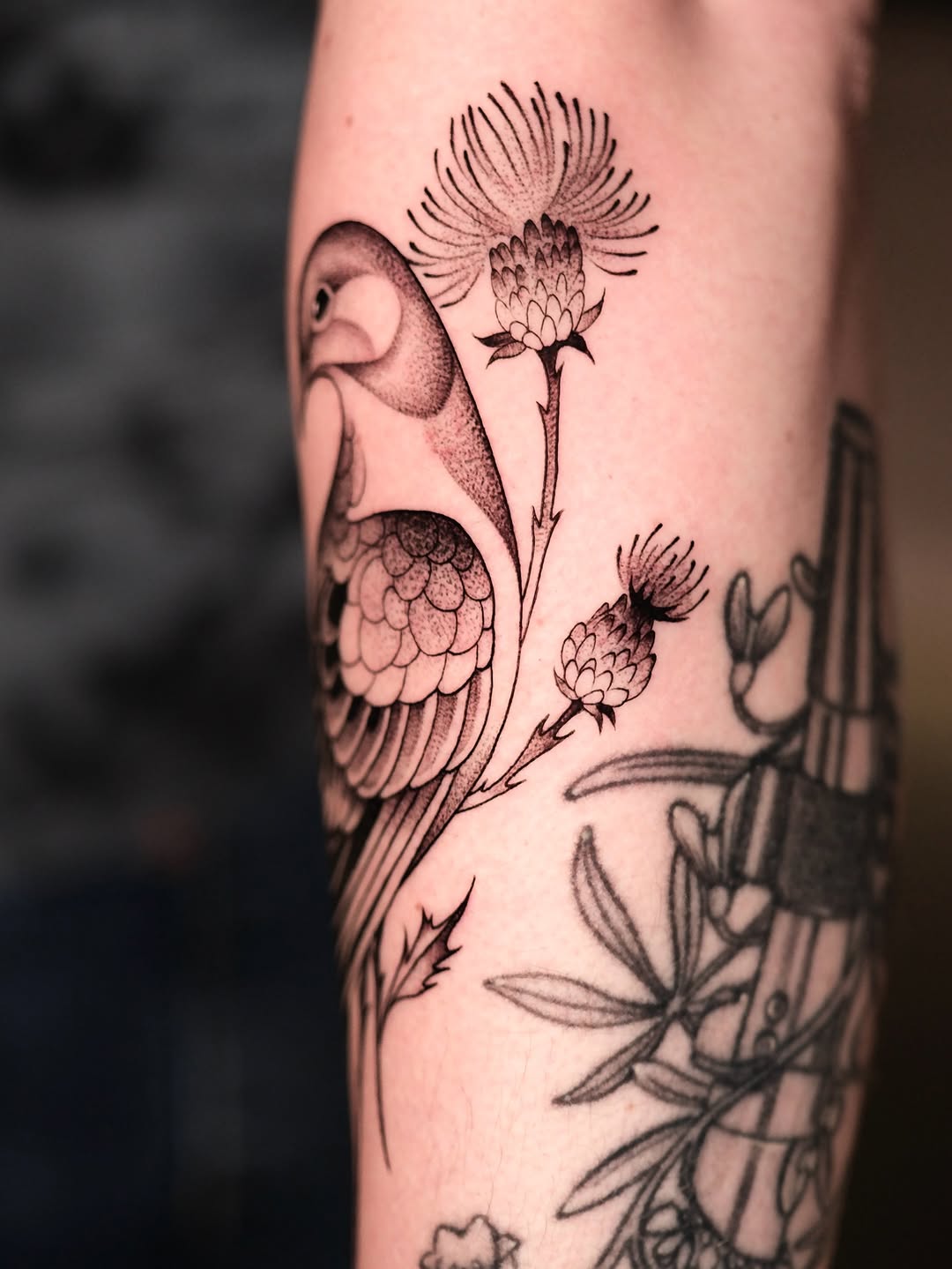 Tattoo by @ivy.k.tattoos โ dotwork