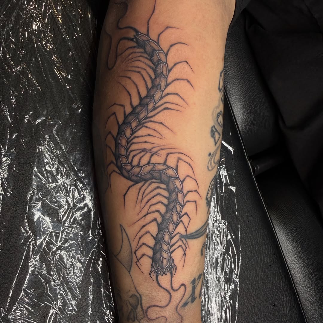 Tattoo by @tatsbychloe — black_and_grey, illustrative