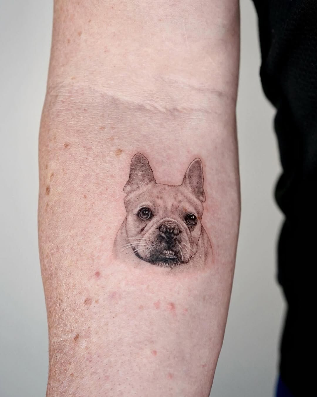 Tattoo by @alissajungink — realism, black_and_grey