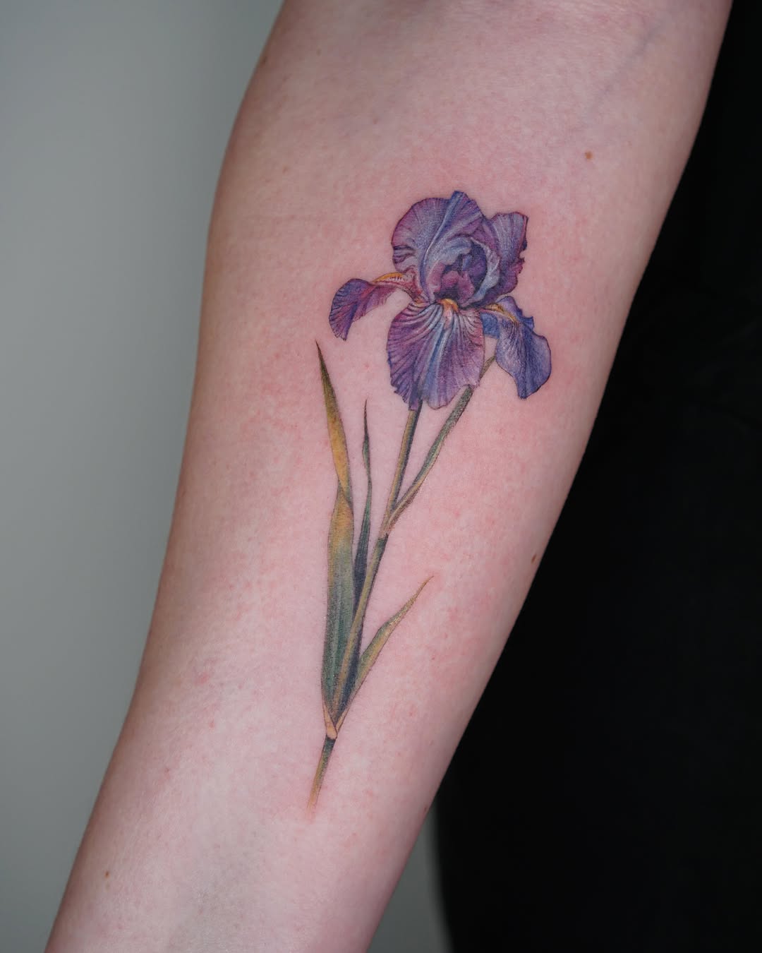 Tattoo by @alissajungink — realism