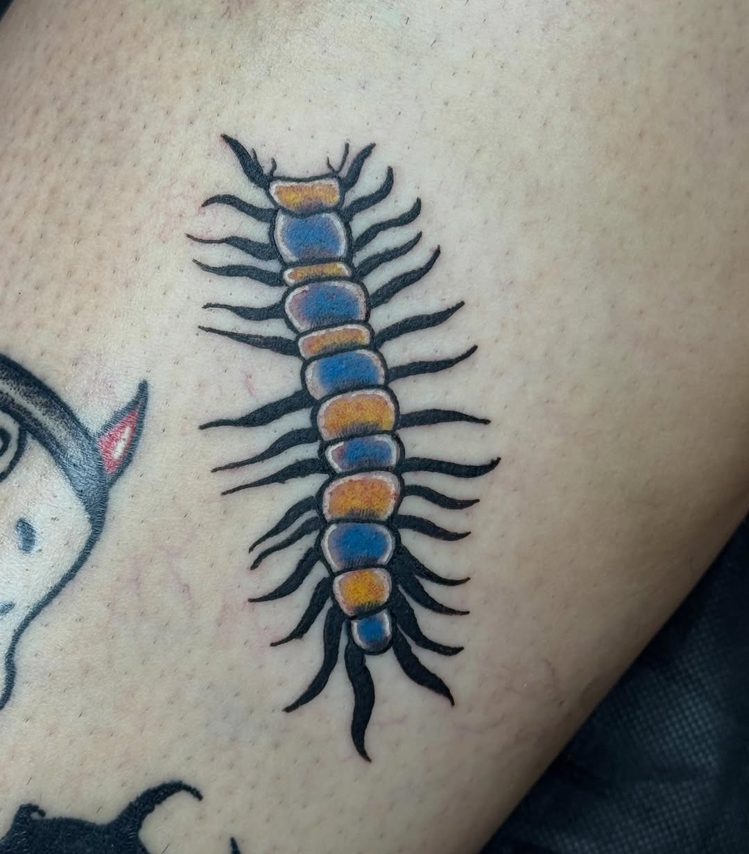 Tattoo by @scorpio.memento — american_traditional, illustrative