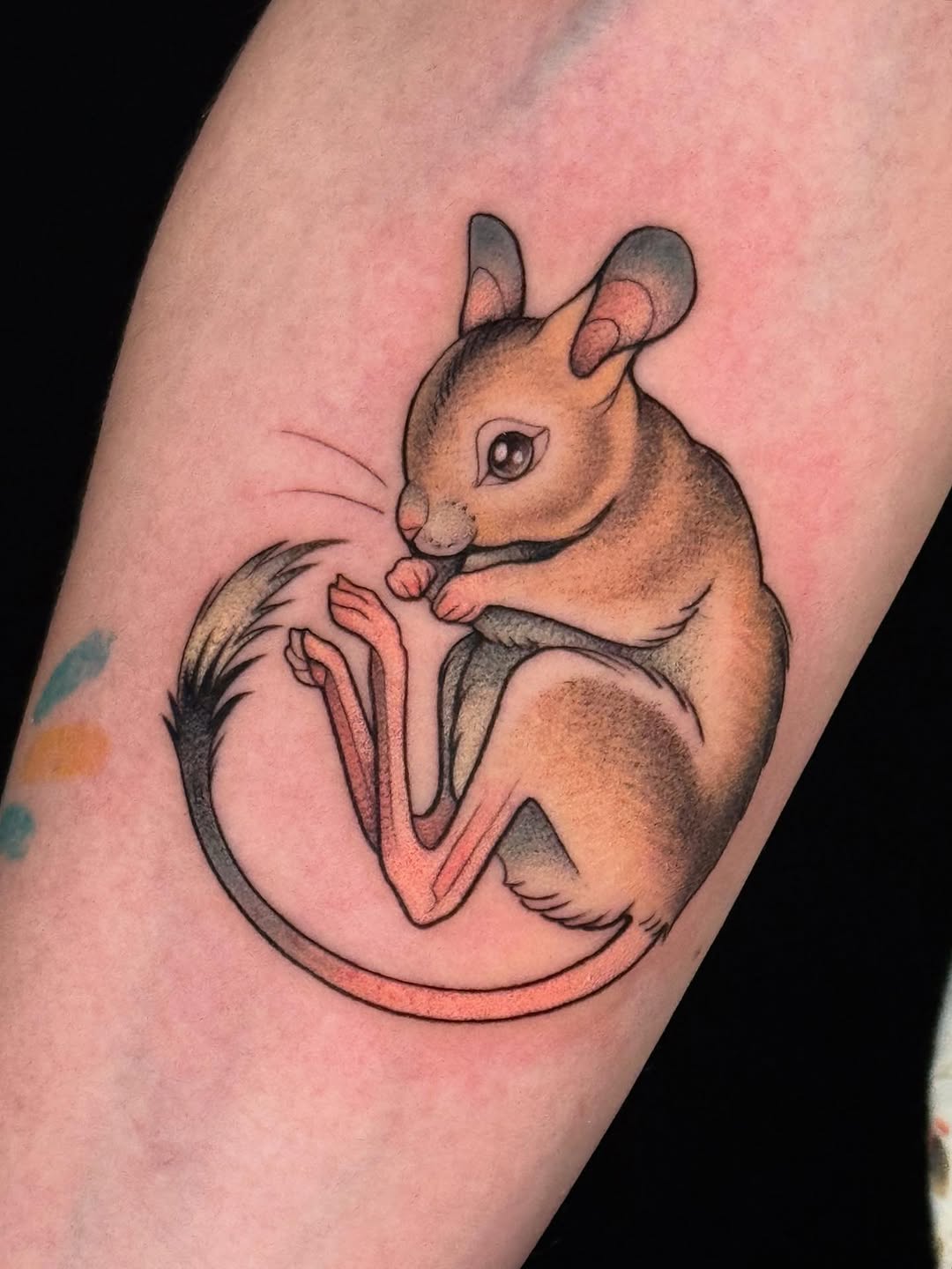 Tattoo by @haiziegrey — new_school