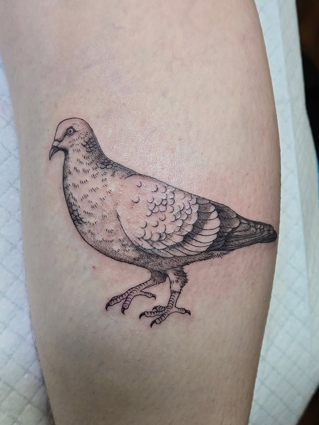 Tattoo by @birdtat — black_and_grey