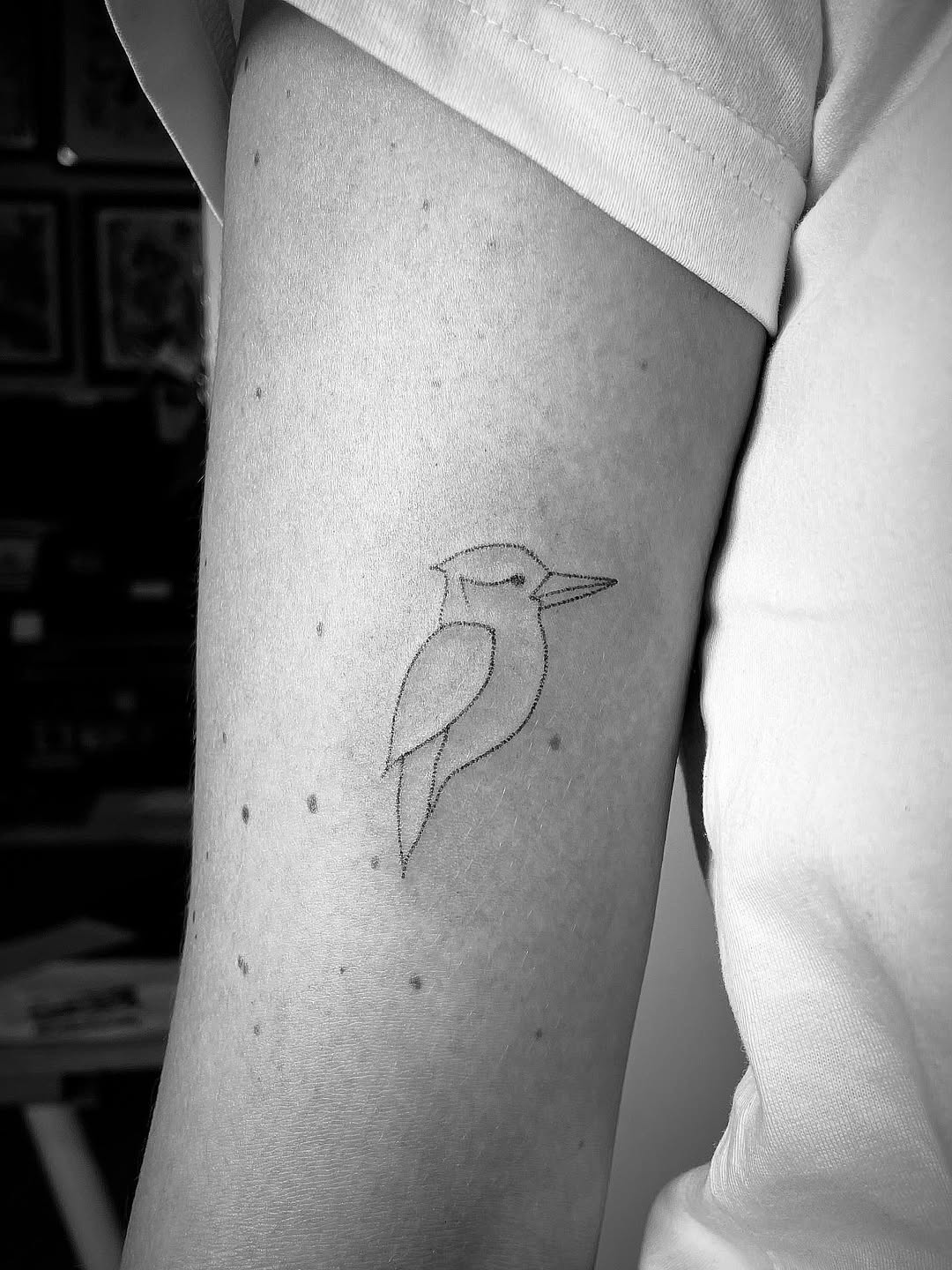 Tattoo by @titsfortatt — fine_line, dotwork