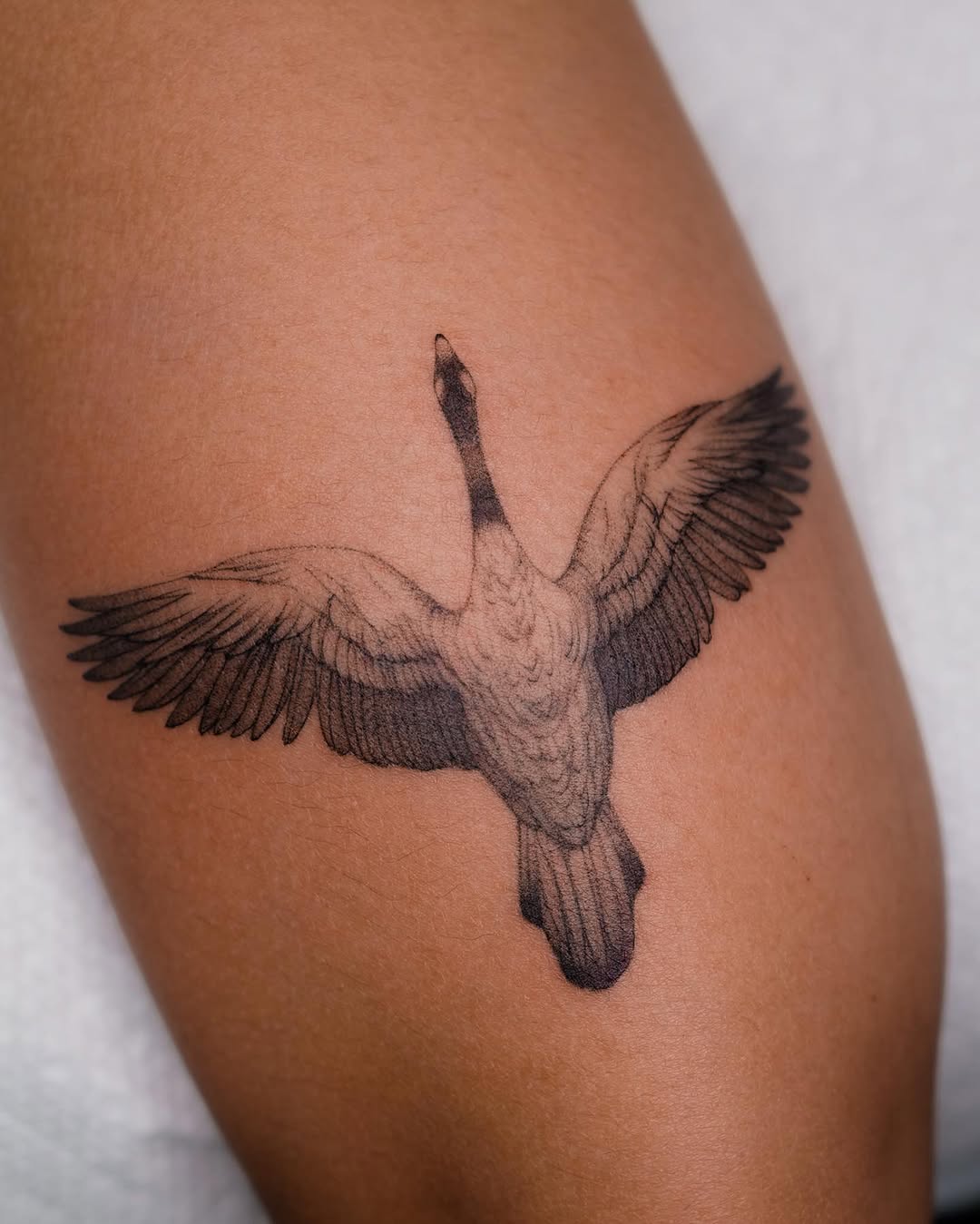 Tattoo by @jjjaylud — realism, black_and_grey