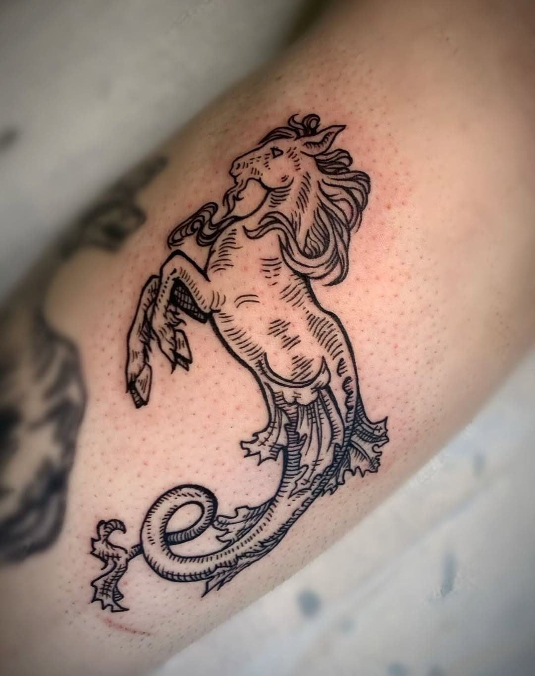Tattoo by @tattoosbyglory — illustrative, black_and_grey