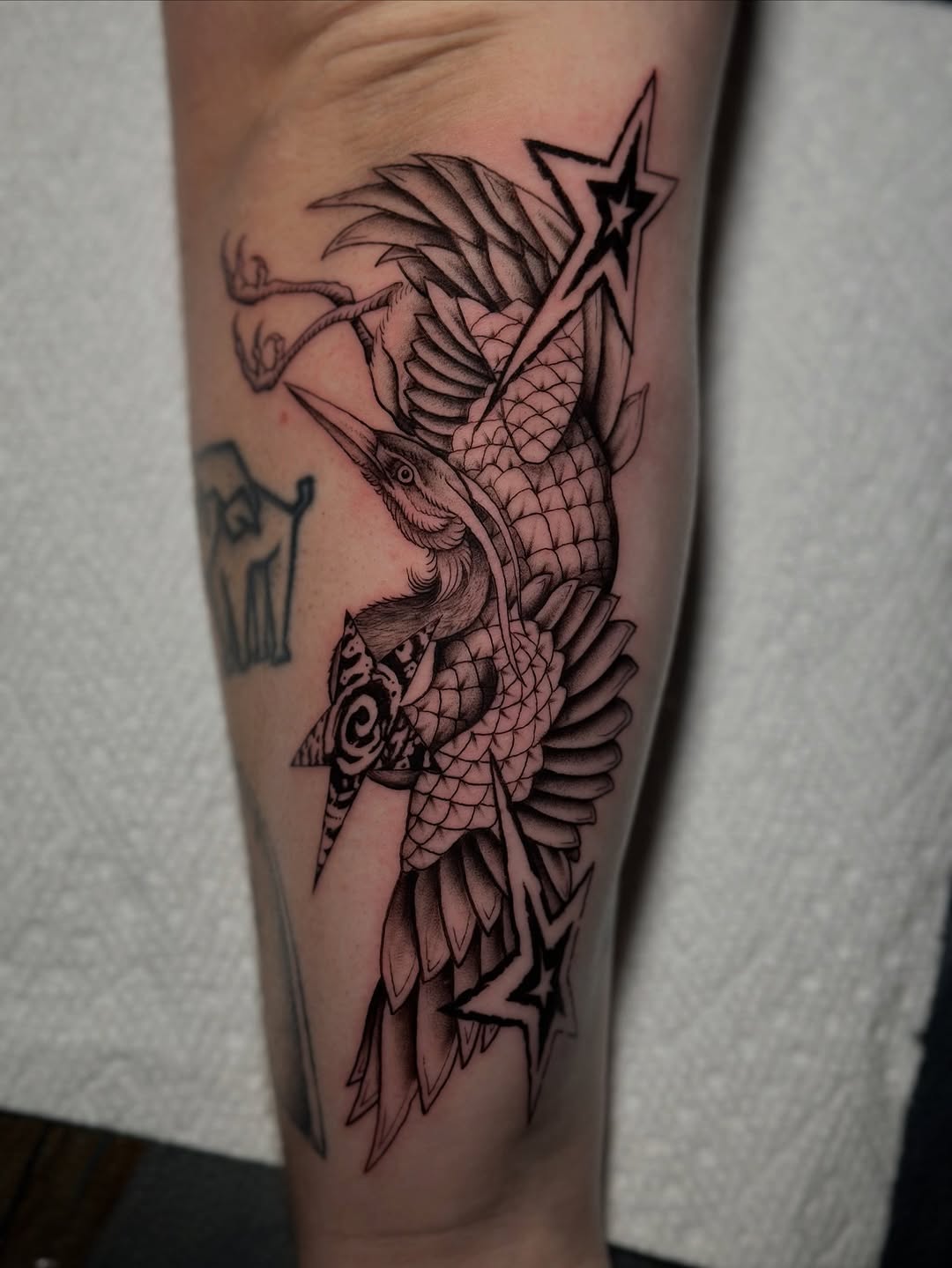 Tattoo by @jaredsharp.ink — black_and_grey, ornamental