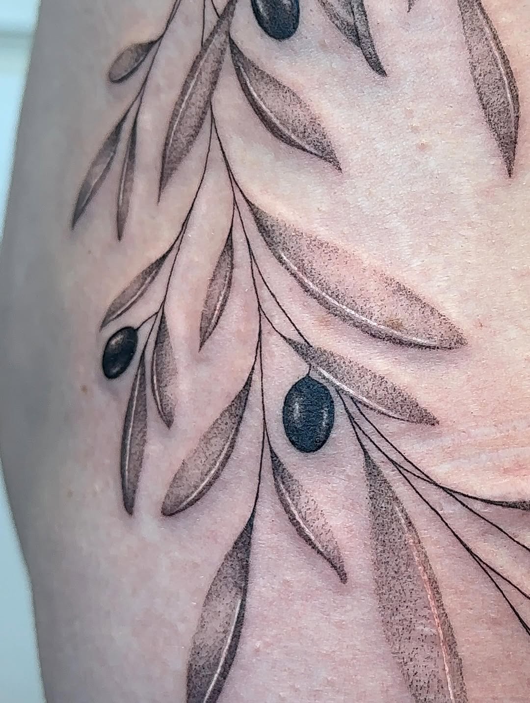 Tattoo by @bboujeeink2 — fine_line, dotwork