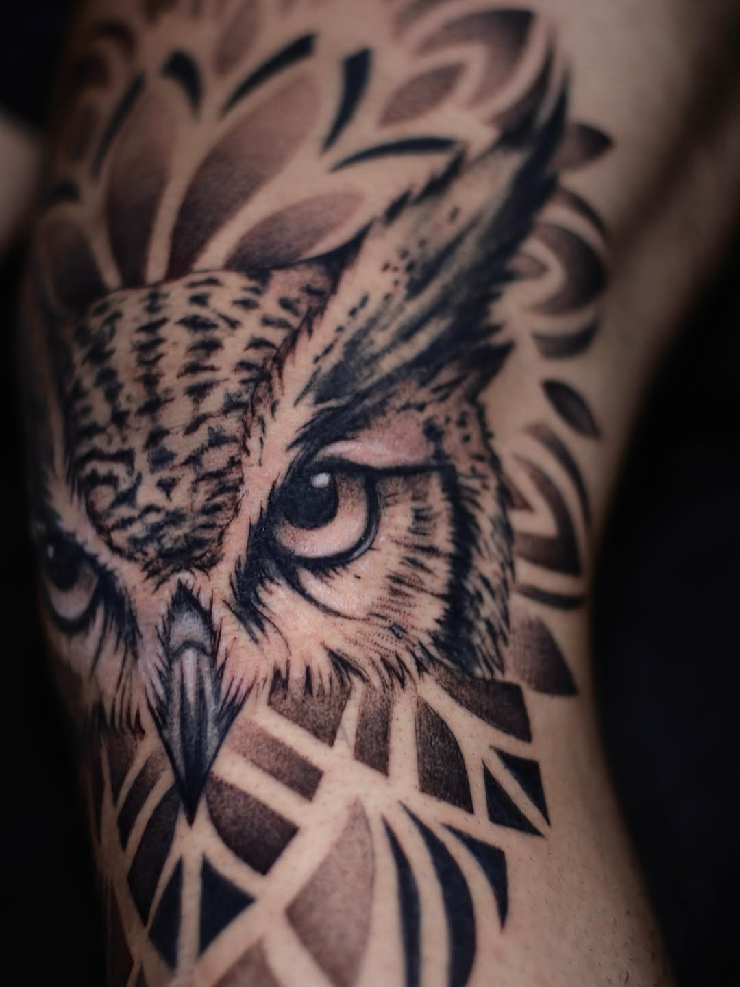 Tattoo by @sherllytattoos_ โ realism, dotwork