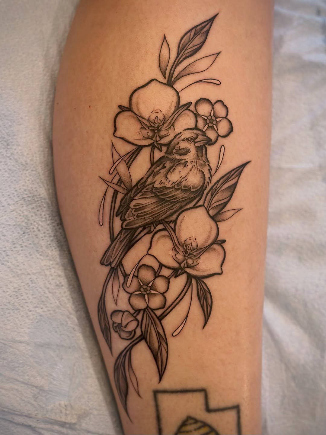 Tattoo by @maddiemorrill_art β illustrative, black_and_grey