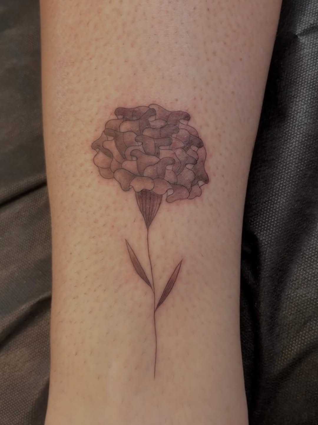 Tattoo by @alanaktatts — fine_line, illustrative