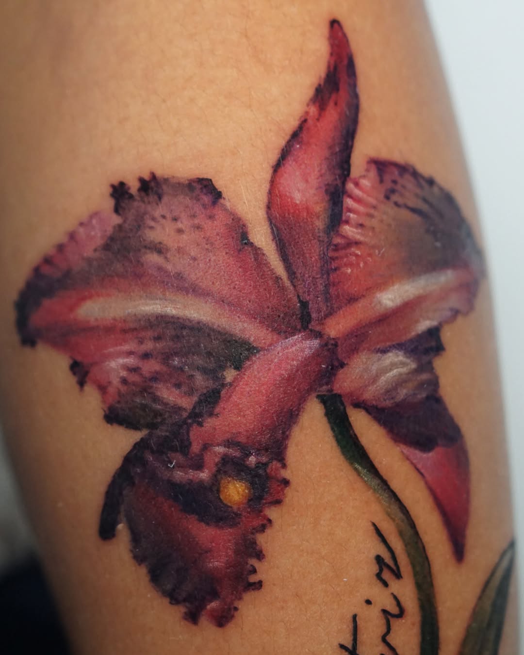 Tattoo by @theodrawsart โ realism