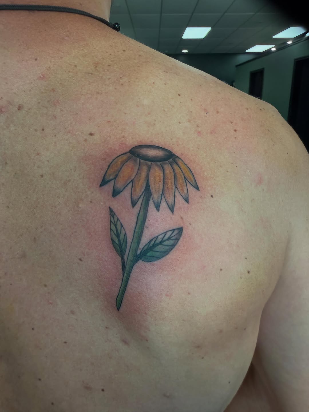 Tattoo by @kbel_art — illustrative, american_traditional