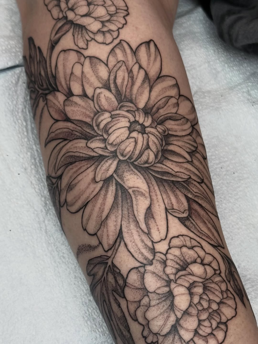 Tattoo by @horsegirltats — black_and_grey, realism