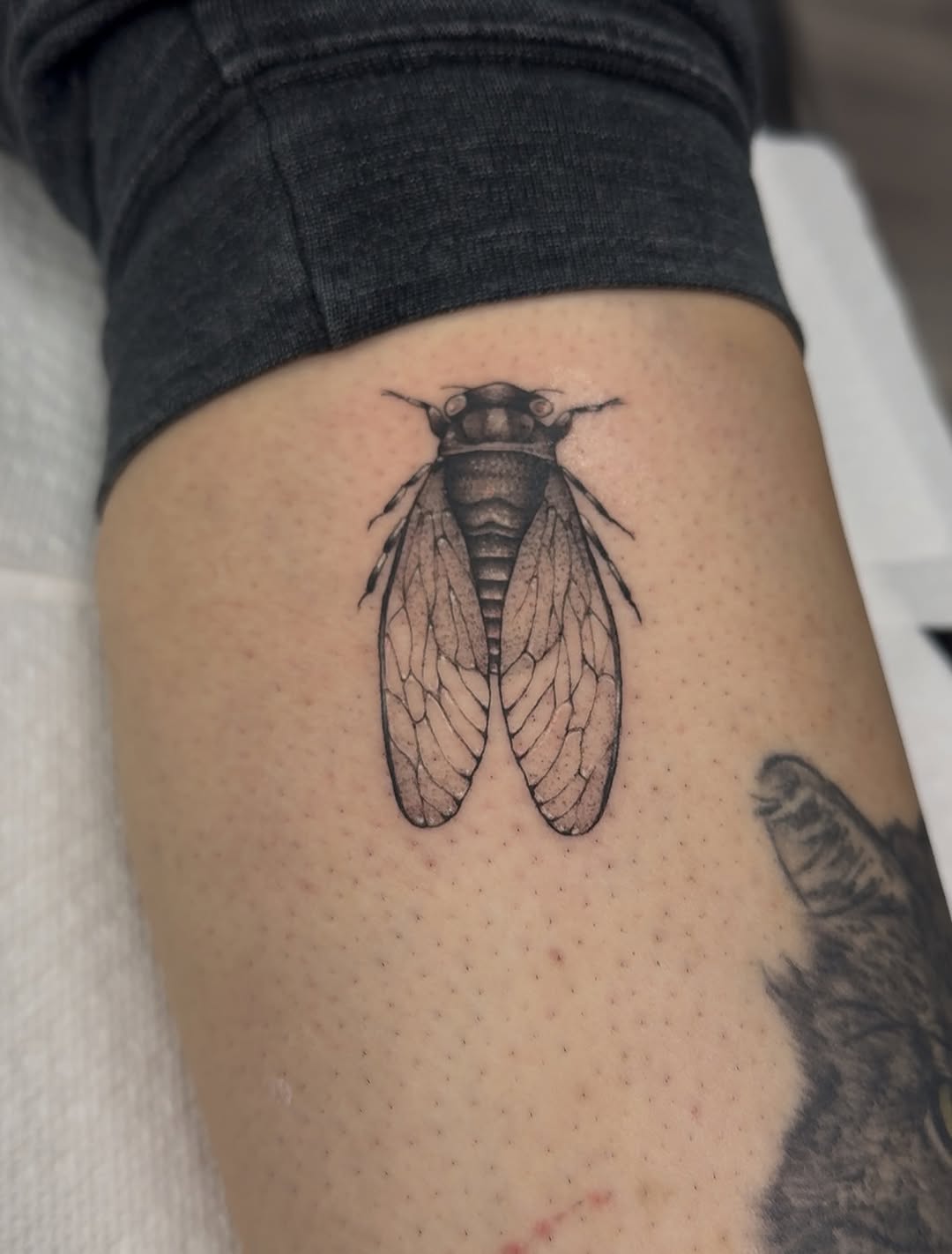 Tattoo by @babytattooer — realism, black_and_grey