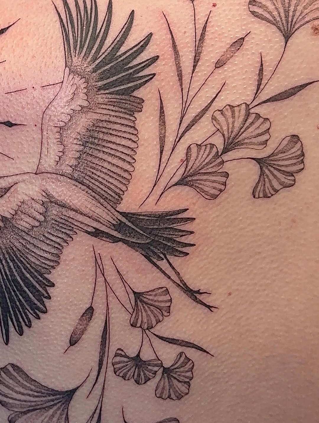 Tattoo by @bboujeeink2 — black_and_grey, fine_line