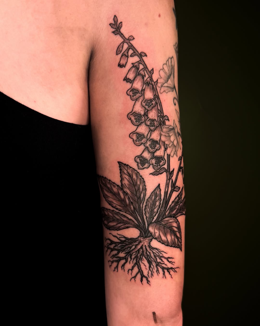 Tattoo by @faunawitchtattoo — illustrative, black_and_grey