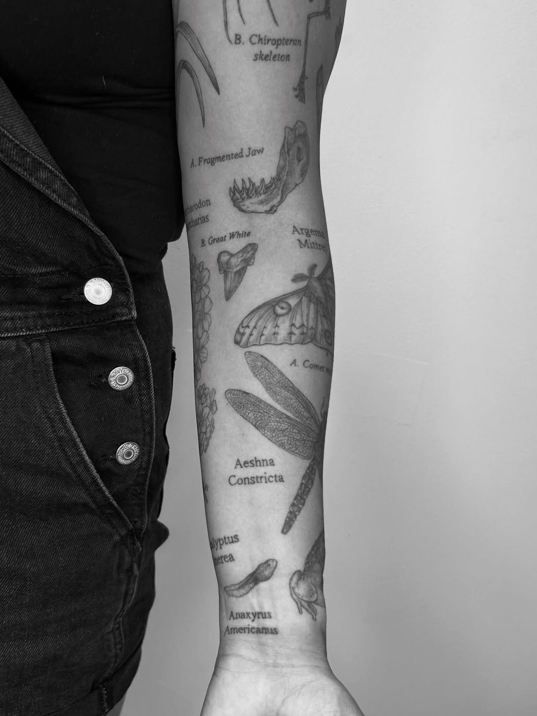 Tattoo by @serahsubmarine — illustrative, black_and_grey
