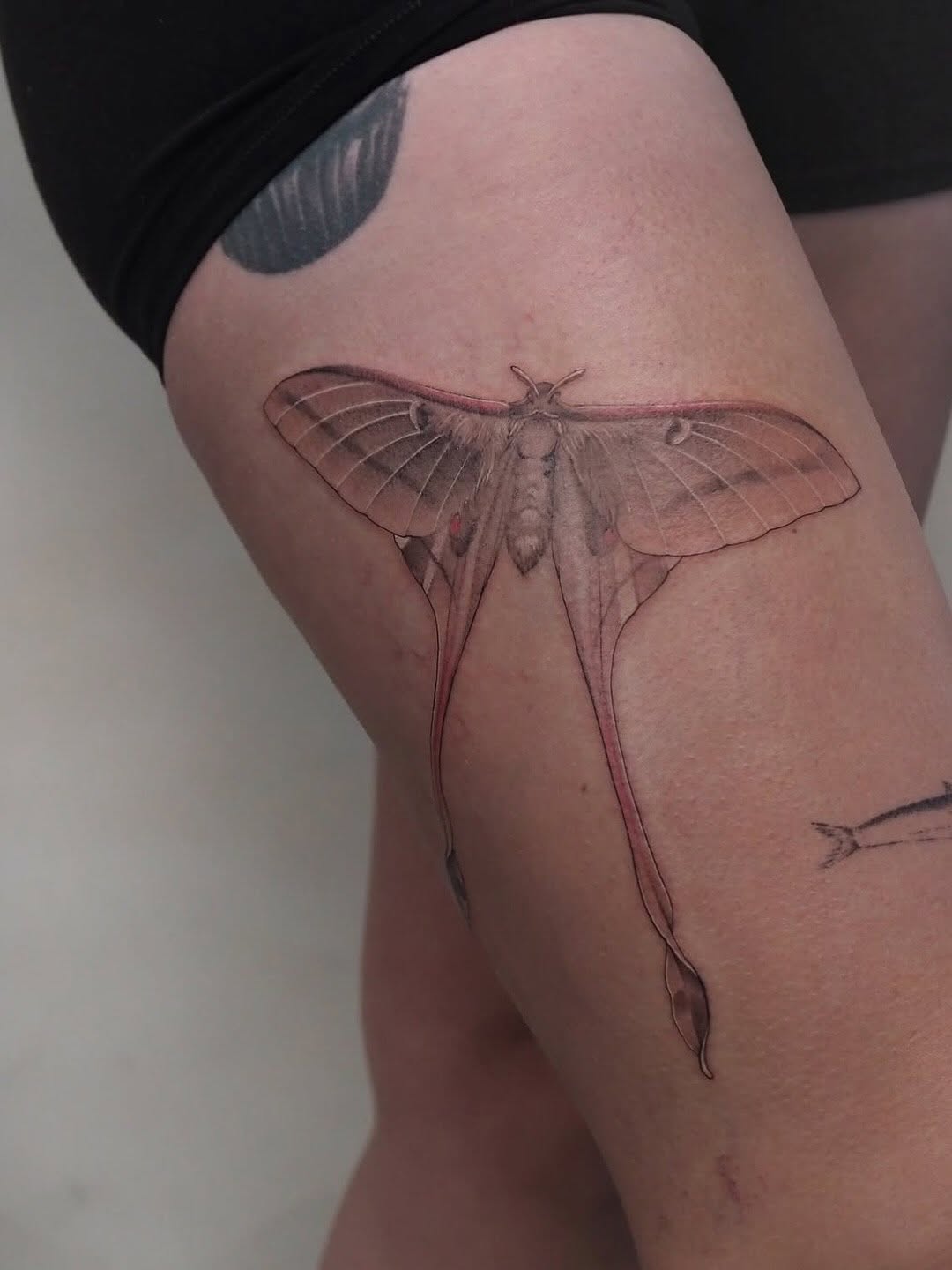 Tattoo by @pakhanova — realism, fine_line